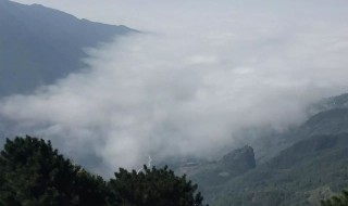 云橫秦嶺家何在被改為什么 云橫秦嶺家何在被改為什么意思