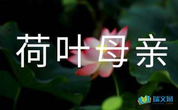 荷葉母親讀后感500字