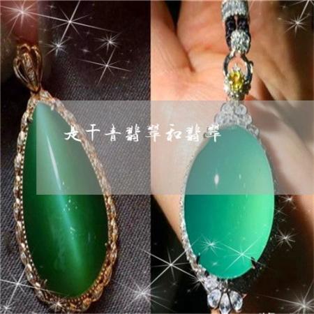 翡翠的翡可以組什么詞 翡翠的翡可以組詞有哪些呢