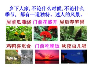鄉下人家主要內容 鄉下人家主要內容概括