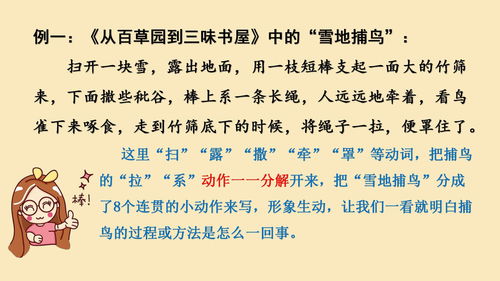 片言只語的意思 詞語片言只語的意思