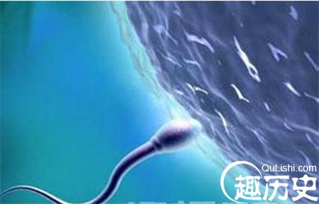 揭秘：澳洲現古老精子 竟藏于千年化石當中