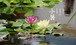 小暑文案朋友圈 小暑文案朋友圈有哪些