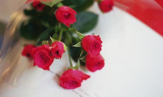 送花給女朋友送什么花 送什么花給女朋友最好