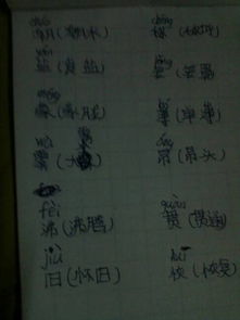 疙組詞和拼音 疙讀音及解釋