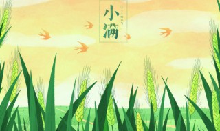 小滿節氣代表什么意思 小滿節氣代表啥意思