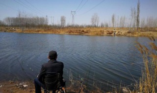 草魚怎么浮釣 記住這四點讓你越釣越爽