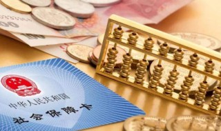 網上怎么查詢社保繳費記錄 網上如何查詢社保繳費記錄-圖1
