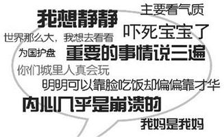 網絡用語道德婊是什么意思（網絡用語和諧是什么意思）