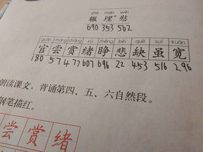 埋能組什么詞 漢字埋能組什么詞