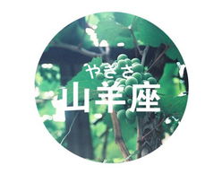 2023年摩羯座如何在職場中保持積極   