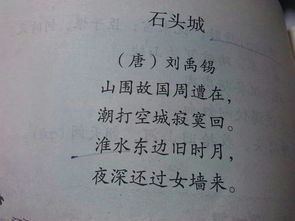 病起書懷抒發了詩人什么樣的思想感情 病起書懷的思想感情