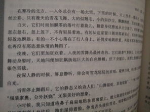 臺風作文600字 臺風的作文示例