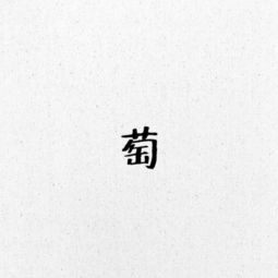 萄組詞兩個字 萄兩個字的詞語