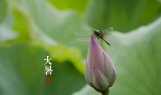 防署降溫品 防暑降溫物品有哪些