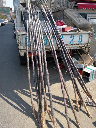 “清明蔗，毒過蛇”？ 營養專家：說法并不絕對，仔細辨別是否發霉即可