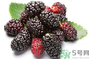 桑葚怎樣可以保存一年 桑葚怎么保存