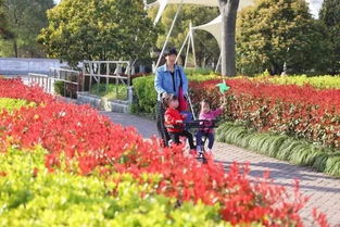 上海周浦公園是免費的嗎 你知道嗎