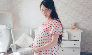 孕婦夢見大蟒蛇是什么意思 孕婦夢見大蟒蛇是啥意思