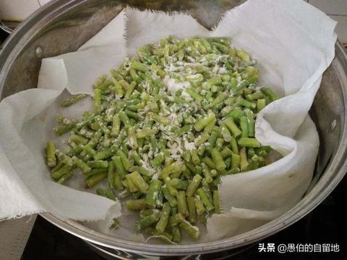 粗豆角是什么意思 