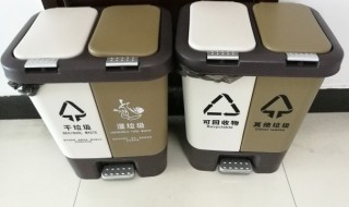 盆栽的廢棄樹葉屬于什么垃圾 盆栽的廢棄樹葉是什么垃圾