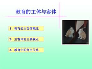 主體和客體的關系 主體和客體有幾種關系