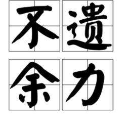 不遺余力 是什么意思 詞語不遺余力的意思