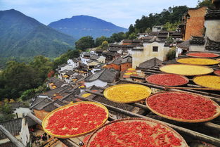 婺源篁嶺最佳旅游時間婺源篁嶺秋季最佳旅游時間