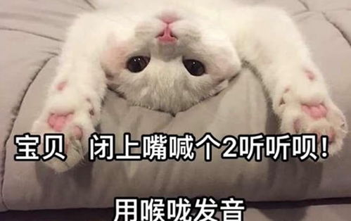 閉上嘴用喉嚨說2什么梗 閉上嘴用喉嚨說2的解釋