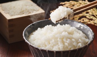 夏天米飯放一夜還能吃嗎 夏天米飯放一夜還能不能吃