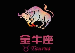 2023年金牛座的戀愛觀和愛情態度   