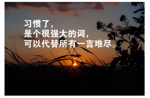 有哪些星座更樂于勇于冒險 