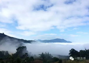 古哪六大茶山是什么 