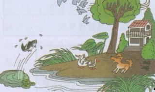 地震前有哪些異常征兆 地震前兆有哪些現象