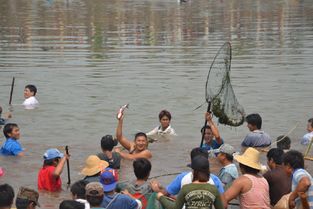 夢見發大水捉魚是什么意思 夢見發大水捉魚的含義