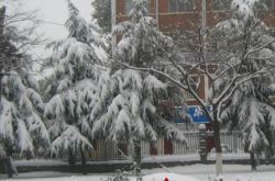 夢到下雪 夢到下雪了什么意思