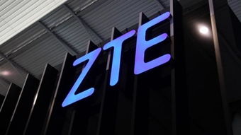 中興通訊 如何在中興通訊股份有限公司官網查詢實習生招聘