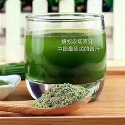 青汁是寒性還是溫性的 青汁一般對嗎不分性味