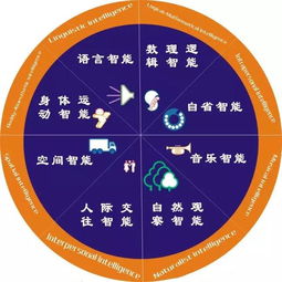 八大智能是指什么 八大智能是什么