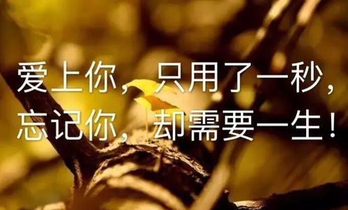 違心的話