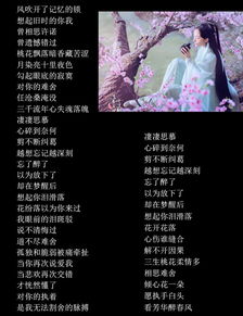 思慕歌詞 思慕歌曲介紹