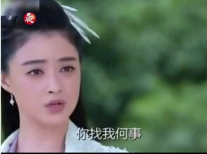蔣欣演的菲菲是什么電視 蔣欣飾演喬菲電視劇叫什么