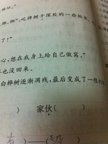 沉醉的拼音 沉醉的拼音是什么