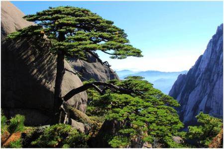 黃山四絕是哪四絕