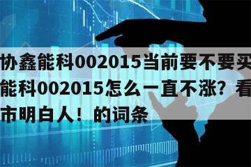 包含協鑫能科002015當前要不要買入？協鑫能科002015怎么一直不漲？看懂做個股市明白人！的詞條