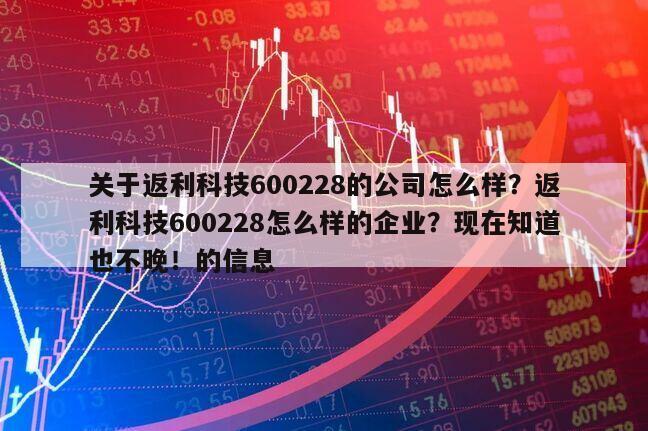 關于返利科技600228的公司怎么樣？返利科技600228怎么樣的企業？現在知道也不晚！的信息