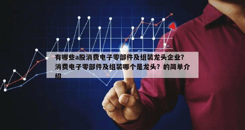 有哪些a股消費電子零部件及組裝龍頭企業？消費電子零部件及組裝哪個是龍頭？的簡單介紹