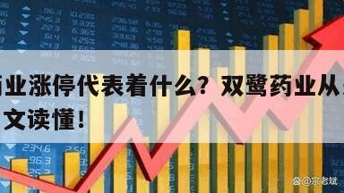 雙鷺藥業漲停代表著什么？雙鷺藥業從來沒漲停？一文讀懂！
