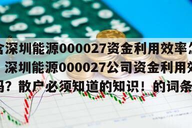 包含深圳能源000027資金利用效率怎么樣？深圳能源000027公司資金利用效率高嗎？散戶必須知道的知識！的詞條