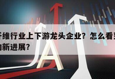 其他纖維行業上下游龍頭企業？怎么看到其他纖維的新進展？